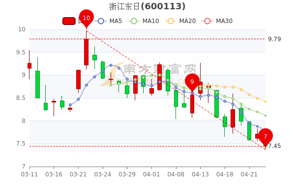 浙江东日最新动态更新，地区发展迎来新动向（25日更新）