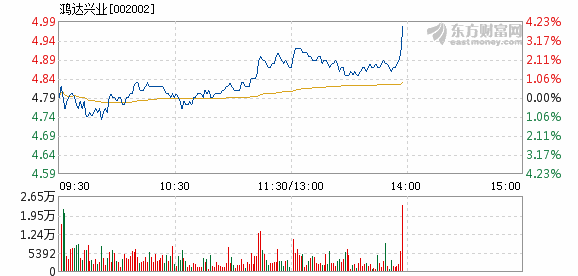 鸿达兴业股票最新消息及公司概况概览