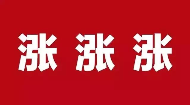 27日玖龙纸业招聘信息全面解读，特性、体验、竞争态势与目标用户分析