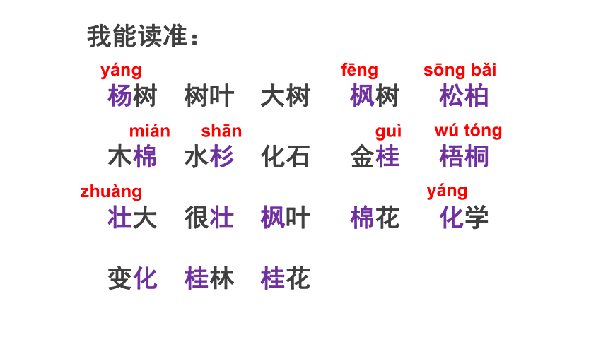 探寻树之歌背后的故事，新篇章开启于28日最新更新