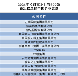 2024年正版免费天天开彩,强大解释解答实施_奢侈款2.854