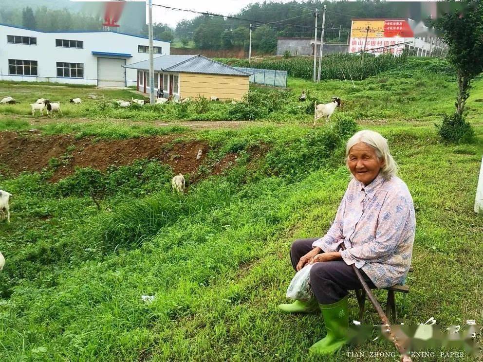 韩国最新潮流趋势，青草文化的崛起与影响分析