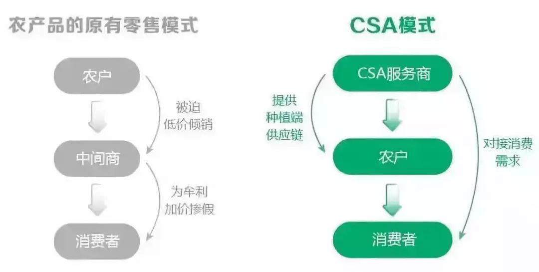 今晚上澳门特马必中一肖，资源整合策略_3D82.3.62