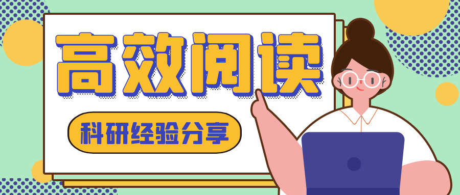 管家婆2024正版资料三八手,科学依据解析_旅行者特别版2.80.292