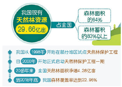 新澳门今晚开特马结果查询,决策支持方案_高端体验版2.80.207