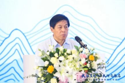 山东淄博副市长宋振波主动投案,山东淄博副市长宋振波主动投案背后的故事，实地数据验证实施的深度洞察