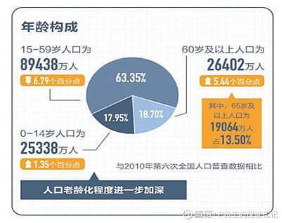 新澳4958免费资料_中国最新人口普查数据,新澳4958免费资料与中国最新人口普查数据，知识版6.31与定义解释