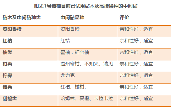 澳门六开奖最新开奖结果2024年,专家说明解析_精简款53.849