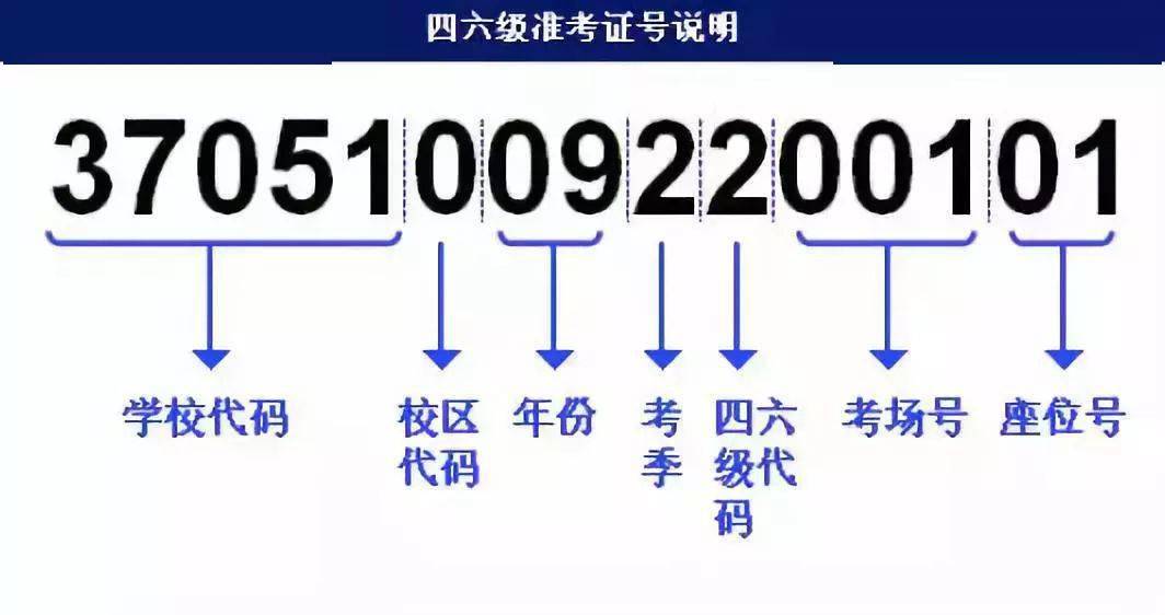 新澳门管家婆一句话,讨论分析解答解释计划_破解型72.452