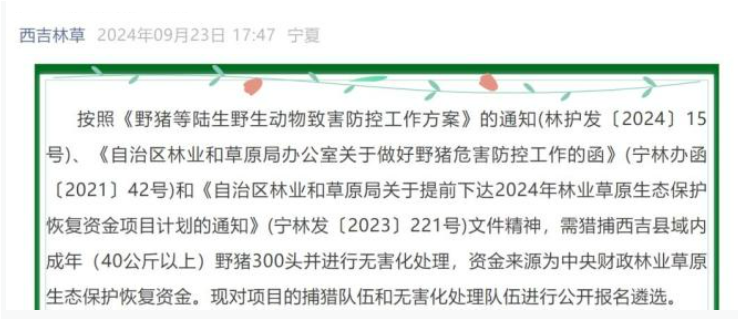 2024新澳正版免费资料大全,高效管理方案解答解释_净化版50.22