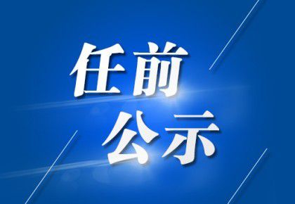 平阳最新干部公示解析，11月5日要点速递