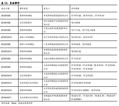 2024澳门特马今晚开奖53期,出色解释解答执行_财务集94.55