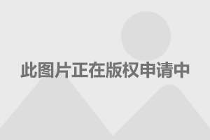 徐宿淮盐高铁最新动态，启程心灵之旅，探寻自然美景新篇章（11月5日更新）