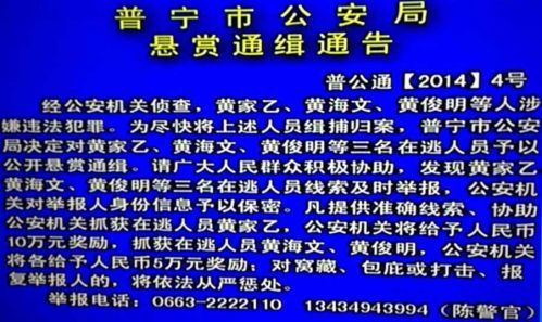 运城警方发布最新通缉公告，涉案人员信息详解及公众应对措施（更新日期，11月5日）