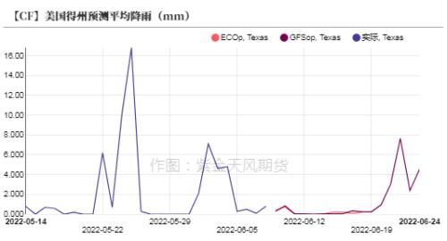 11月6日新疆棉最新资讯，全面了解与操作指南