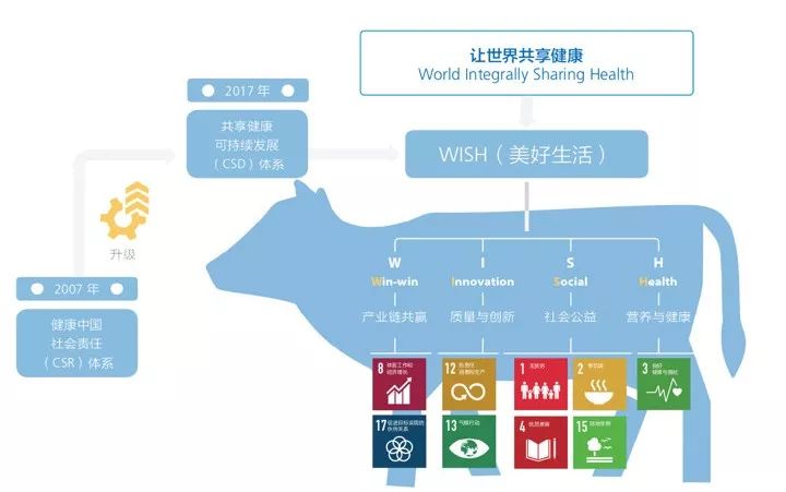 揭秘巷弄秘境，11月6日最新共享项目带你探寻小巷独特小店之旅