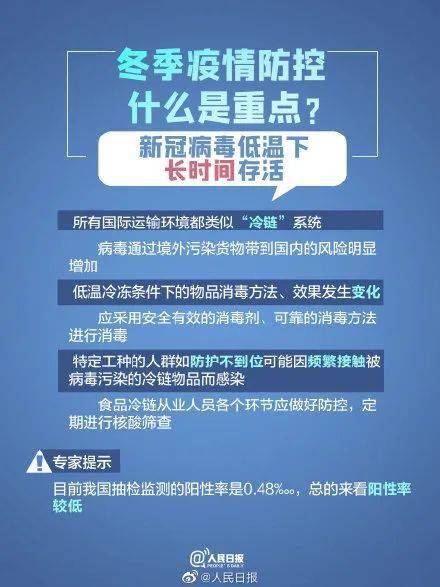 伦敦新闻解读指南，轻松获取资讯，从初学者到进阶用户一步到位（11月6日最新更新）