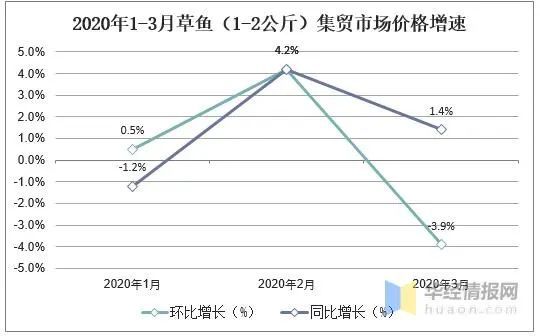 本月染料市场深度观察，最新价格走势分析、市场波动与个人立场透视