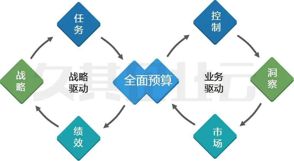 11月最新梦花园产品全面评测与介绍，探索梦花园的奥秘