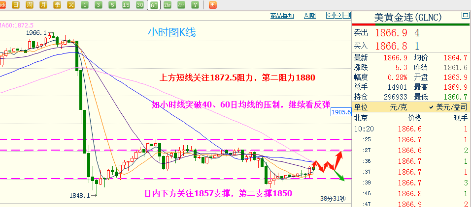 历史上的11月12日，原油资讯网带你探索自然美景，寻找内心宁静之旅