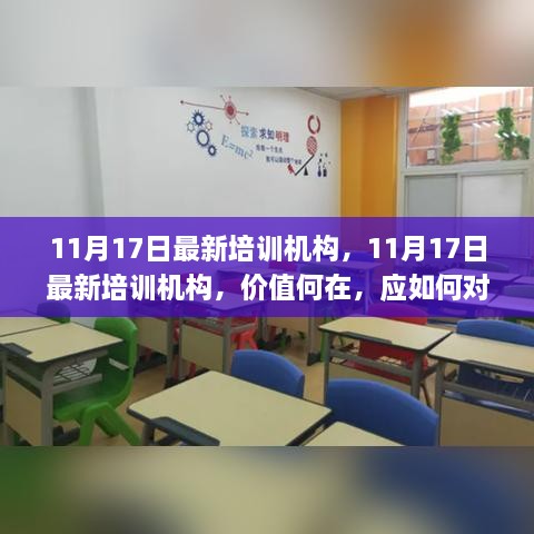 11月17日最新培训机构的价值与应对方式探讨