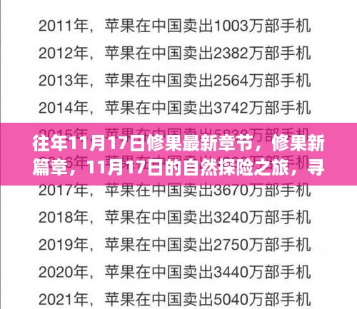 修果新篇章，寻找内心宁静与微笑的探险之旅——往年11月17日修果最新章节