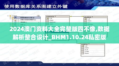 2024澳门资料大全完整版四不像,数据解析整合设计_BHM1.10.24私密版