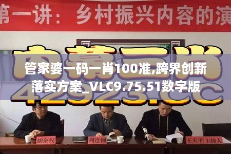 管家婆一码一肖100准,跨界创新落实方案_VLC9.75.51数字版