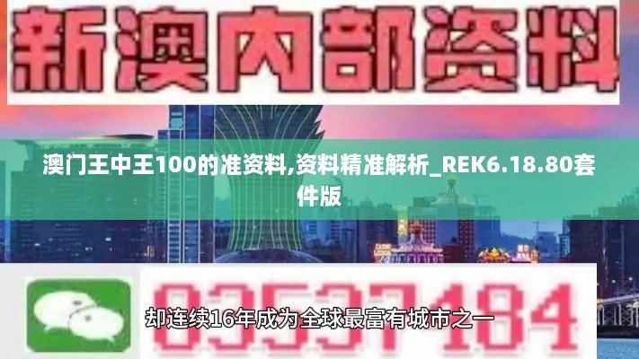 澳门王中王100的准资料,资料精准解析_REK6.18.80套件版