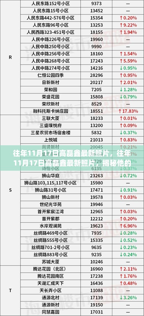 揭秘高磊鑫的世界，往年11月17日最新照片展示魅力瞬间