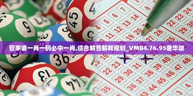 管家婆一肖一码必中一肖,综合解答解释规划_VMB4.76.95奢华版