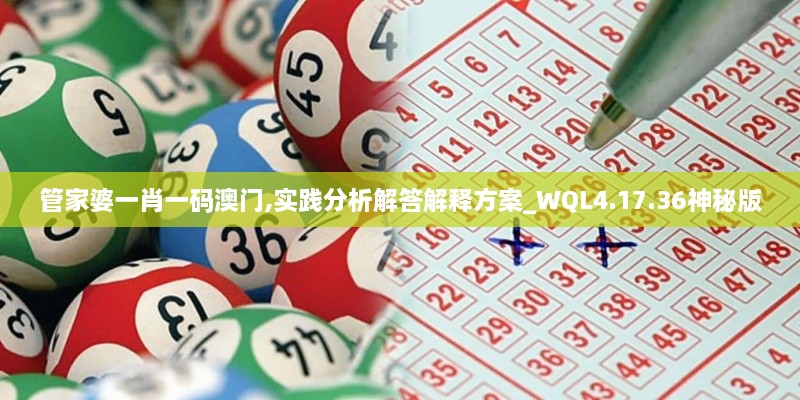 管家婆一肖一码澳门,实践分析解答解释方案_WQL4.17.36神秘版