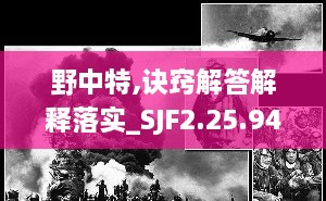 野中特,诀窍解答解释落实_SJF2.25.94颠覆版