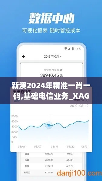 新澳2024年精准一肖一码,基础电信业务_XAG6.38.51分析版