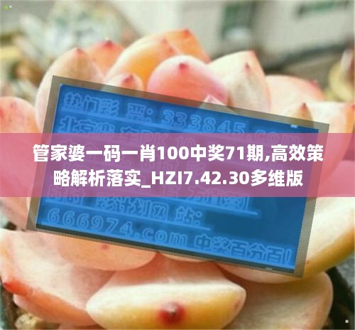 管家婆一码一肖100中奖71期,高效策略解析落实_HZI7.42.30多维版