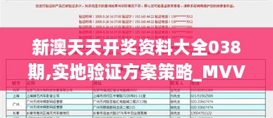 新澳天天开奖资料大全038期,实地验证方案策略_MVV3.26.22光辉版