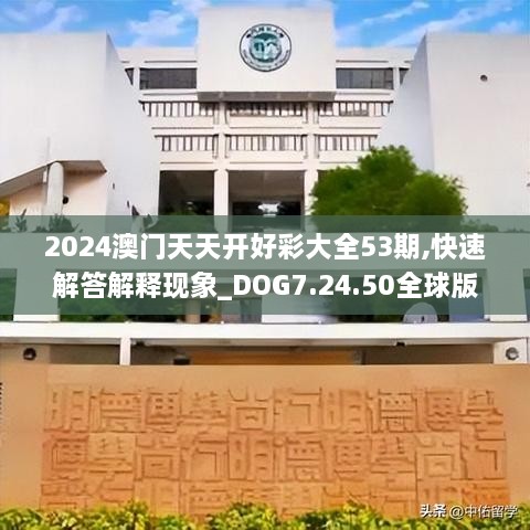 2024澳门天天开好彩大全53期,快速解答解释现象_DOG7.24.50全球版