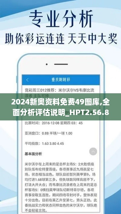 2024新奥资料免费49图库,全面分析评估说明_HPT2.56.82职业版