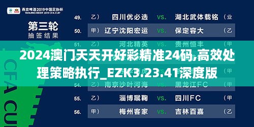 2024澳门天天开好彩精准24码,高效处理策略执行_EZK3.23.41深度版