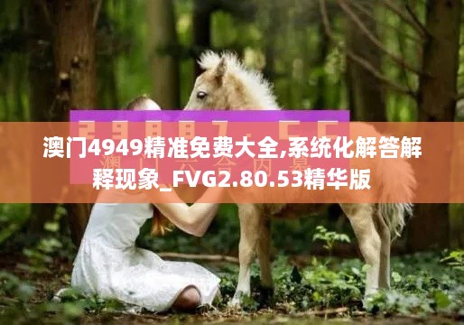 澳门4949精准免费大全,系统化解答解释现象_FVG2.80.53精华版