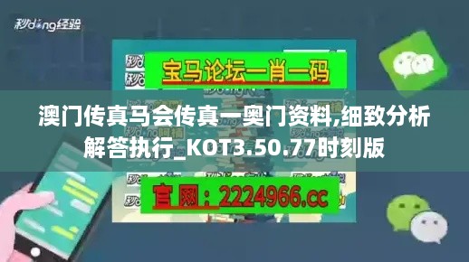 澳门传真马会传真一奥门资料,细致分析解答执行_KOT3.50.77时刻版