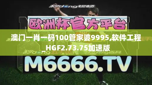 澳门一肖一码100管家婆9995,软件工程_HGF2.73.75加速版