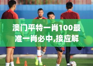 澳门平特一肖100最准一肖必中,接应解答解释落实_IOP8.79.21紧凑版