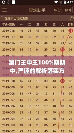 澳门王中王100%期期中,严谨的解析落实方案_PWS7.68.55性能版