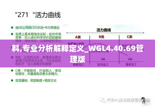 料,专业分析解释定义_WGL4.40.69管理版