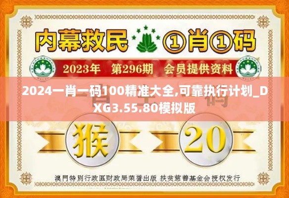 2024一肖一码100精准大全,可靠执行计划_DXG3.55.80模拟版