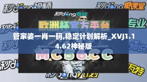 管家婆一肖一码,稳定计划解析_XVJ1.14.62神秘版