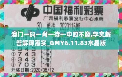 澳门一码一肖一待一中四不像,学究解答解释落实_GMY6.11.83水晶版