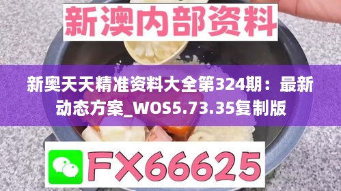 新奥天天精准资料大全第324期：最新动态方案_WOS5.73.35复制版