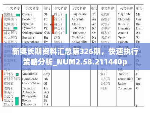 新奥长期资料汇总第326期，快速执行策略分析_NUM2.58.211440p